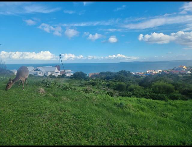990M² VACANT LAND FOR SALE IN DANA BAY